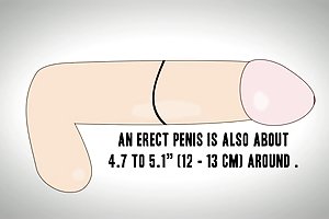 Petit ami est venu avec un cadeau